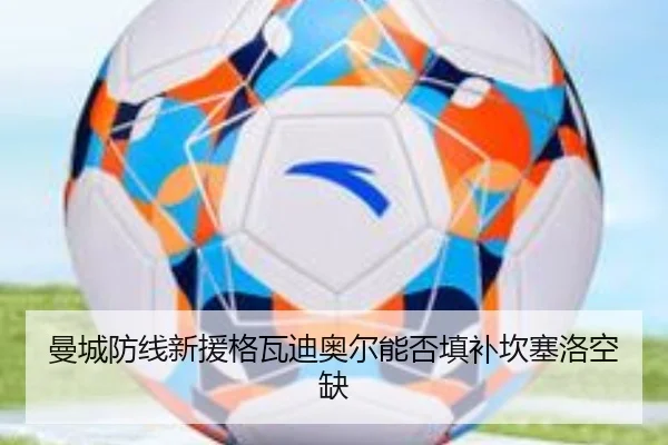 曼城防线新援格瓦迪奥尔能否填补坎塞洛空缺